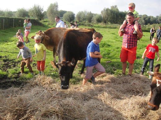 Ligand farm program