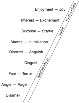 Figure 2. The Nine Affects (adapted from Nathanson, 1992)